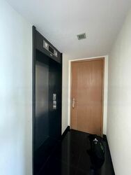 Park Infinia At Wee Nam (D11), Condominium #570203671